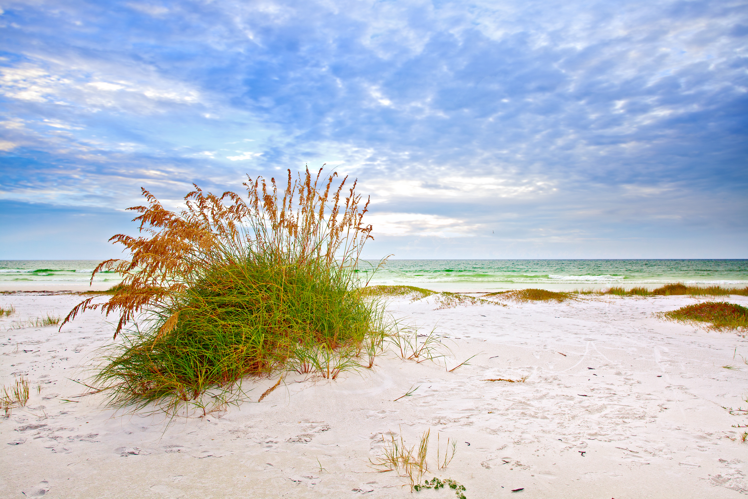 Soul Connections Siesta Key Beach