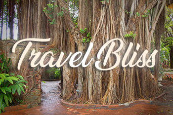 Travel-Bliss